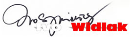 Ivo Widlak Portal!