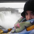 “Dream Zone” – my son will be walking normally I came to the Gift of the Heart Foundation with David, my 9-year-old son, who suffers from cerebral palsy manifested in his case, in deepening inability to walk independently. Thanks to...